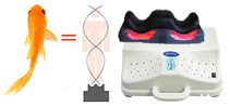 Chi Machine, Chi Machines, Chi Exerciser, Chi Machine, Chi Machines, Chi Exerciser,