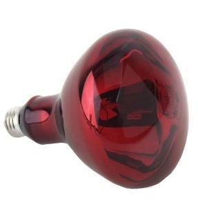 Infrared Lamp Bulb on Infrared Lamp  250 Watt Infrared Bulb